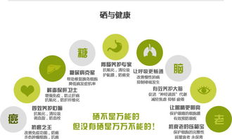 富硒健康新动力，产业盛会谱新章——聚焦2017第十四届上海富硒食品产业博览会及其酒店管理服务